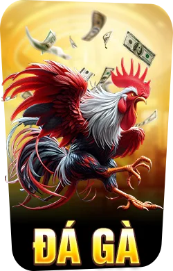 da-ga-w88